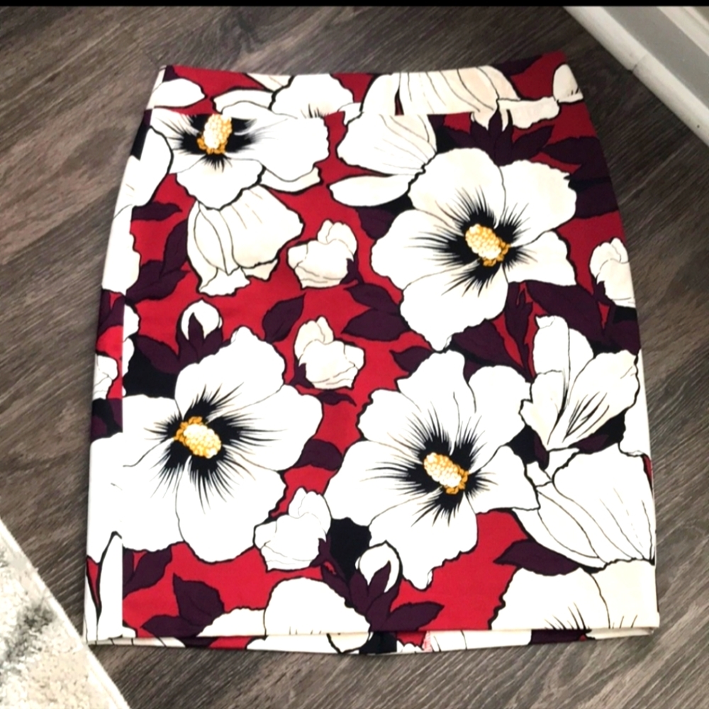 Ann Taylor Pencil Skirt NWOT